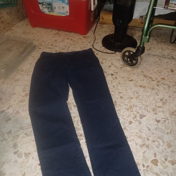 Lands' End Other - Lands' End Men's Pants SZ 32 Slim Fit Navy Blue